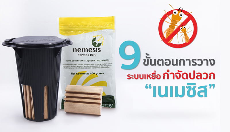 9 ขั้นตอนการวางระบบเหยื่อ กำจัดปลวก