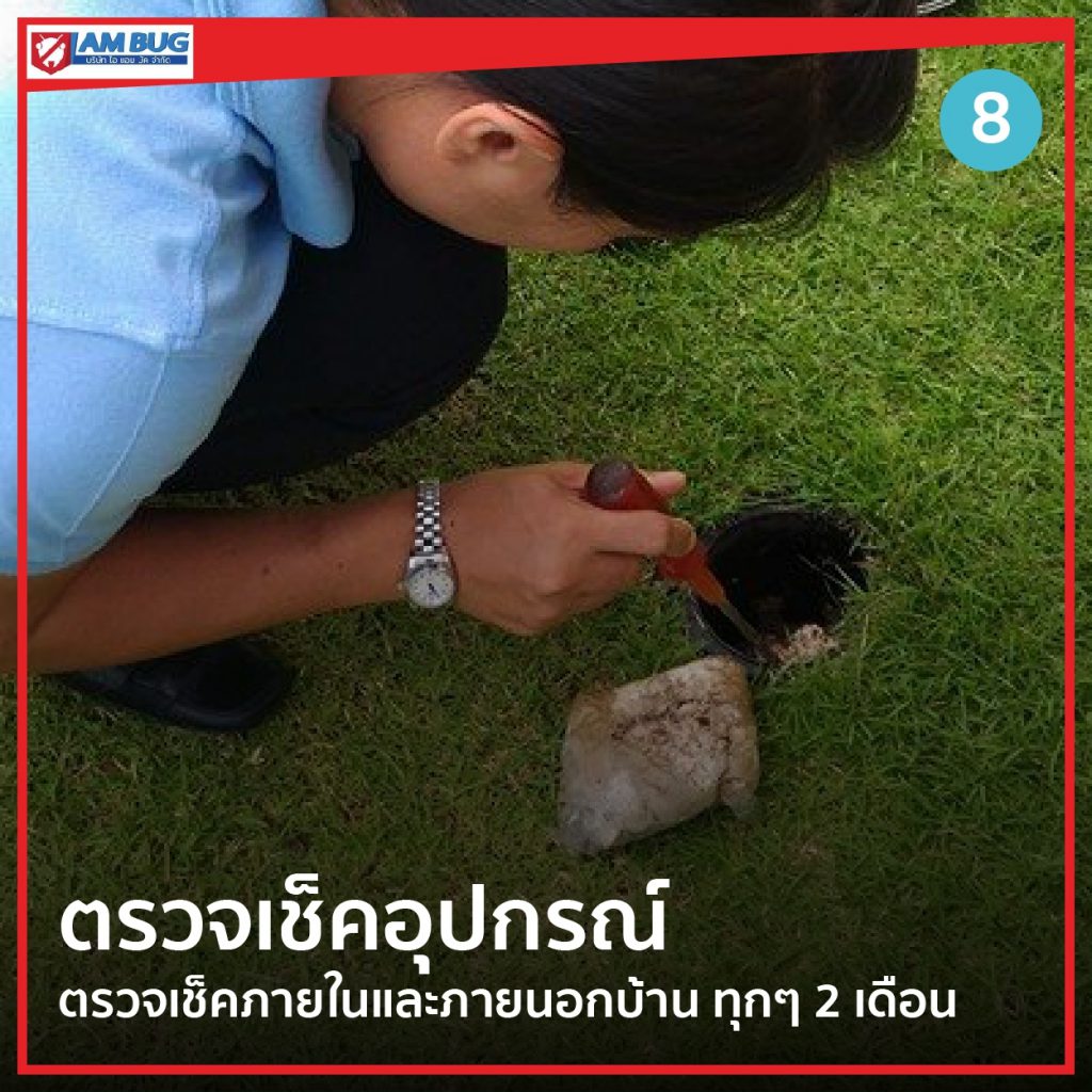 ตรวจสอบและเช็คอุปกรณ์กำจัดปลวก