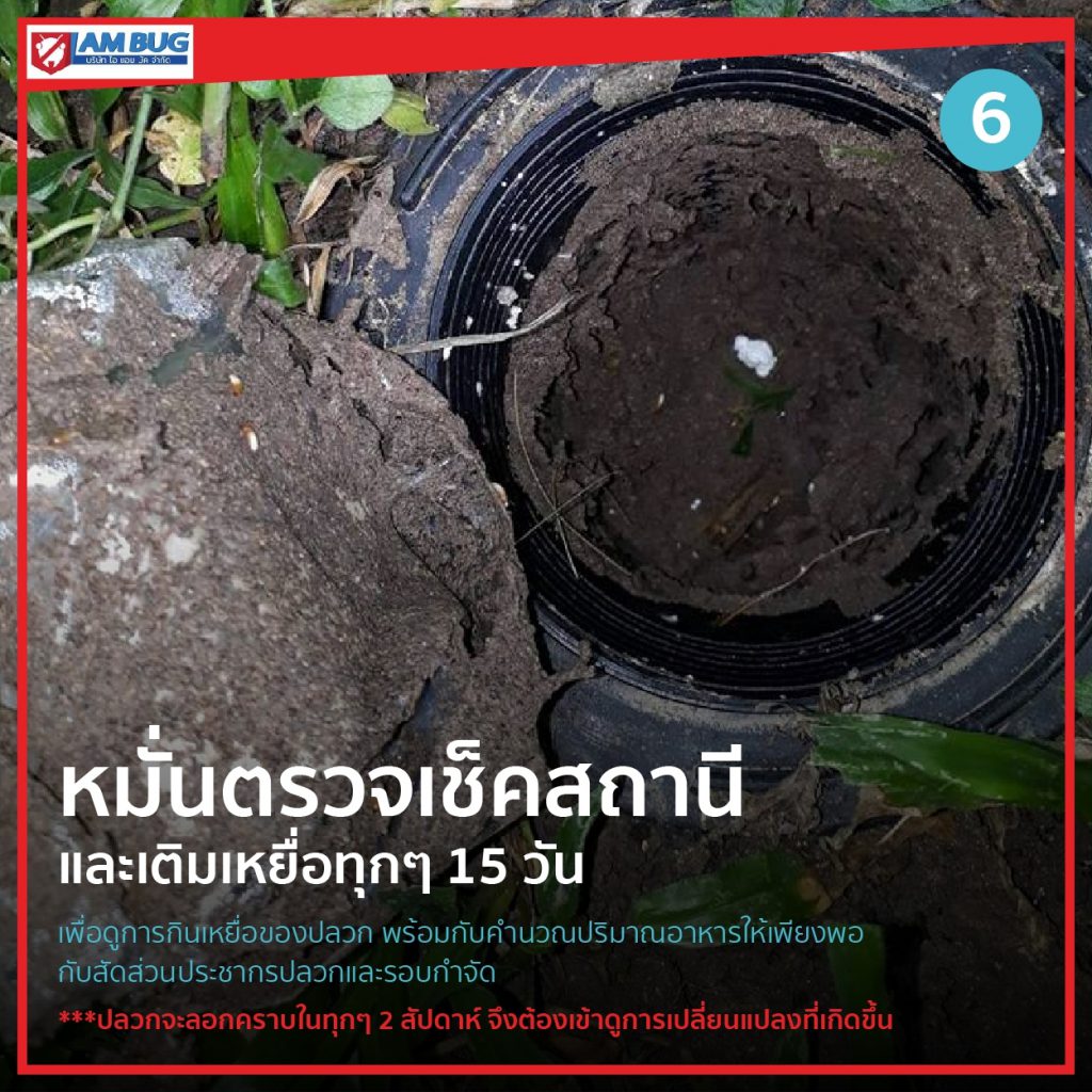 หมั่นตรวจเช็คสถานี