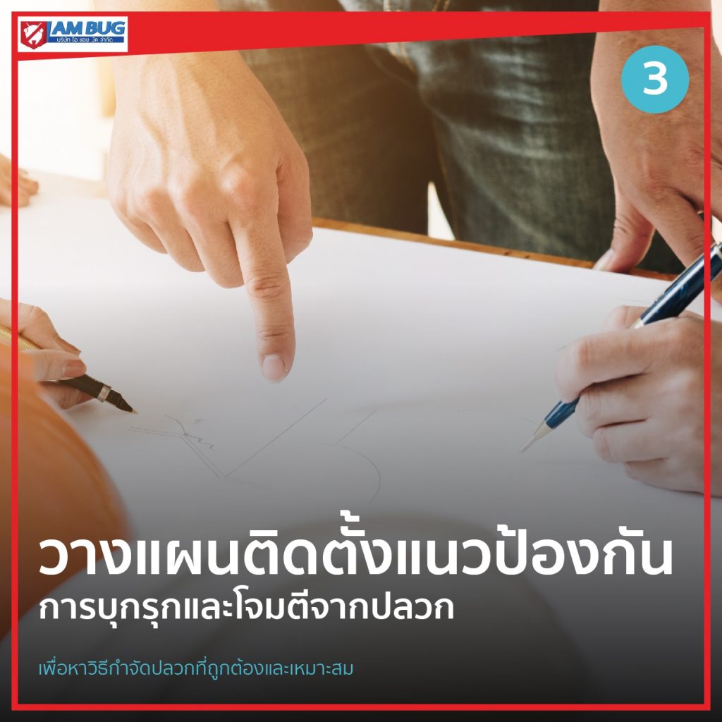 วางแผนติดตั้งแนวป้องกันปลวก