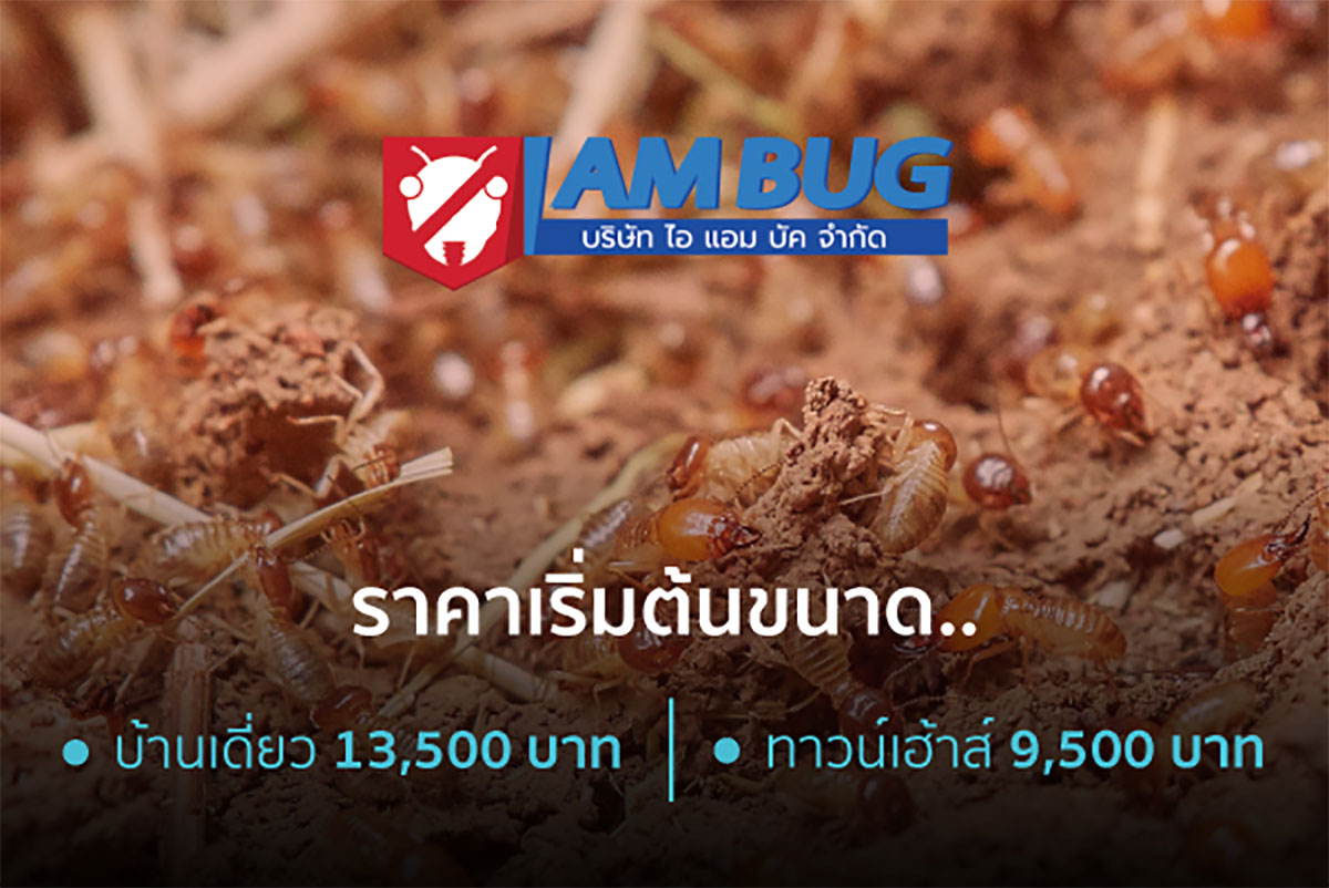 กำจัดปลวก