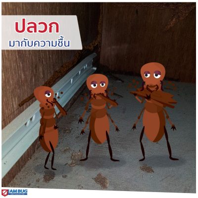 IAMBUG_EPIC_(แก้ไข)_๑๙๑๐๐๗_0002 IAMBUG_EPIC_(แก้ไข)_๑๙๑๐๐๗_0002
