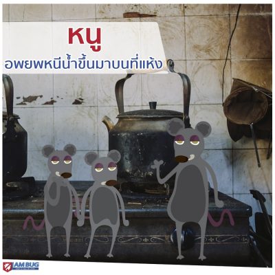 IAMBUG_EPIC_(แก้ไข)_๑๙๑๐๐๗_0003 IAMBUG_EPIC_(แก้ไข)_๑๙๑๐๐๗_0003