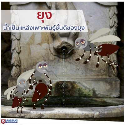 IAMBUG_EPIC_(แก้ไข)_๑๙๑๐๐๗_0004 IAMBUG_EPIC_(แก้ไข)_๑๙๑๐๐๗_0004